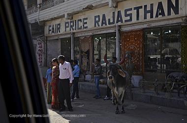 01 PKW-Reise_Mount_Abu-Udaipur_DSC4166_b_H600